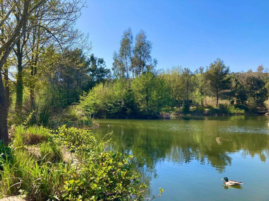 Les Restanques Bougainvillee 2051 Appartement Grimaud